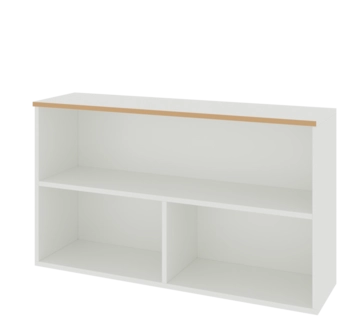 Лабораторный моечный стол С-5Н